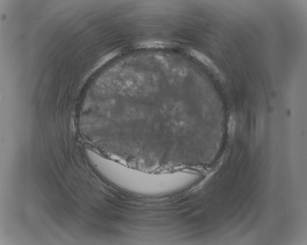 X0000081491209200702021914