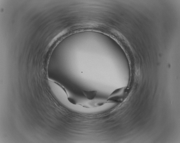 X0000081491210200702021914