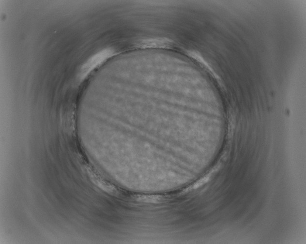 X0000081491211200702021914