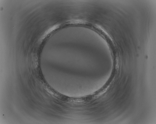 X0000081491213200702021914