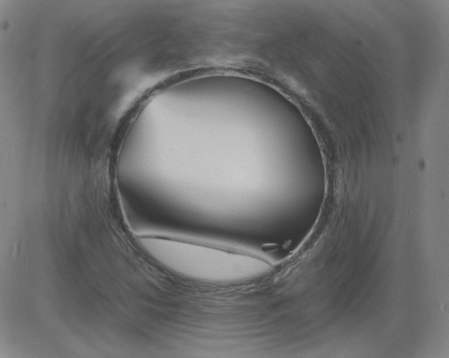 X0000081491214200702021914