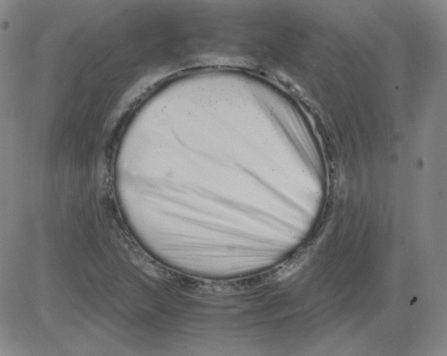 X0000081491215200702021914