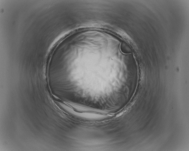 X0000081491216200702021914