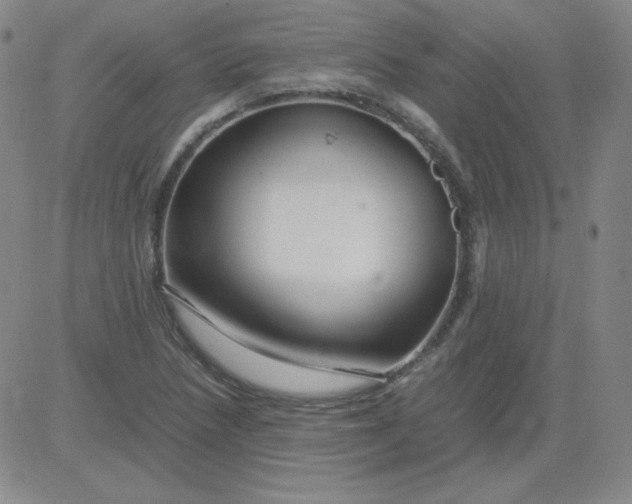 X0000081491218200702021914