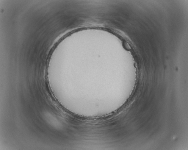 X0000081491220200702021914