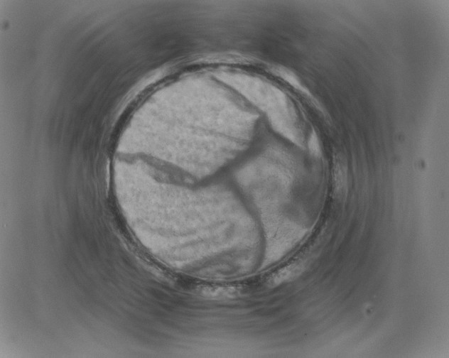 X0000081491221200702021914