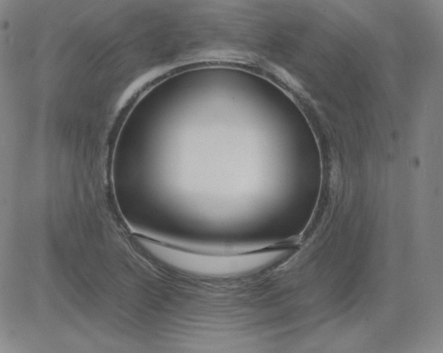 X0000081491222200702021914