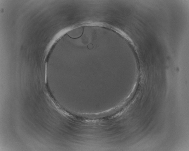 X0000081491223200702021914