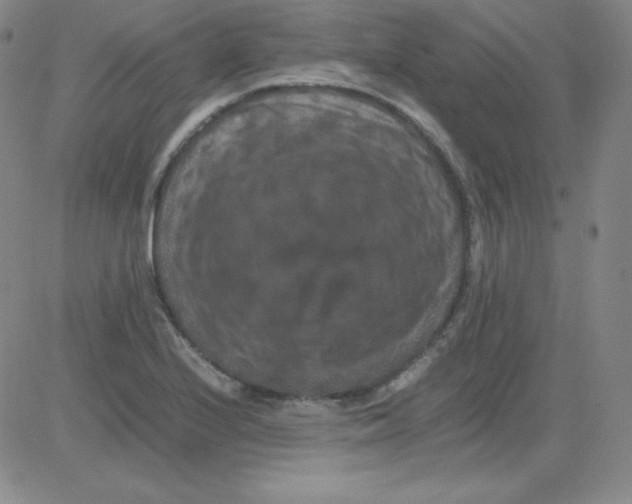 X0000081491224200702021914