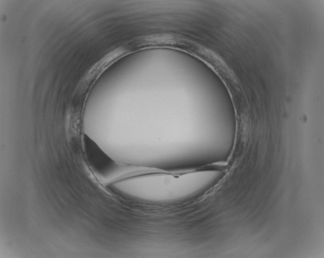 X0000081491225200702021914