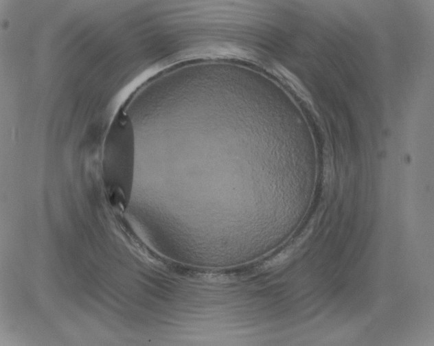 X0000081491226200702021914