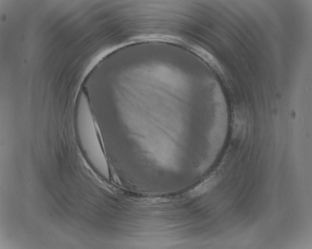 X0000081491228200702021914