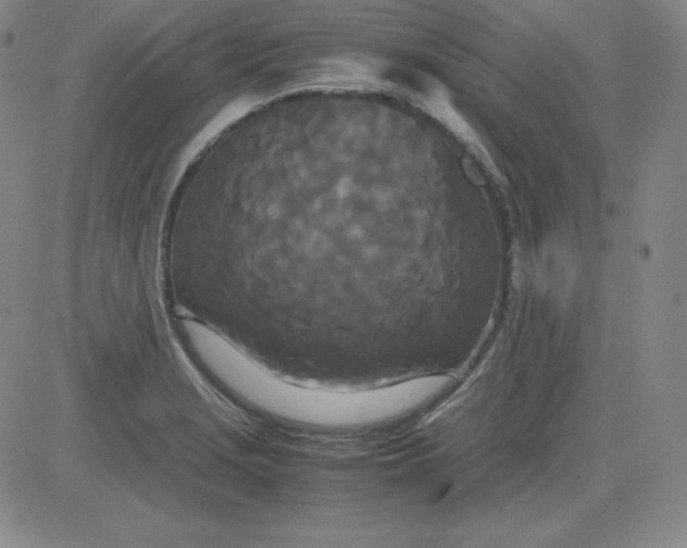 X0000081491229200702021914