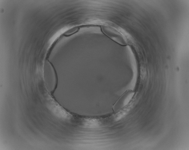 X0000081491230200702021914