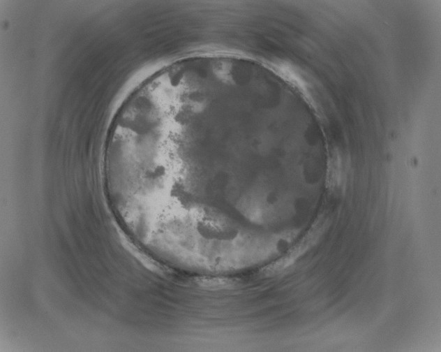 X0000081491231200702021914