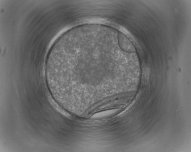 X0000081491232200702021915