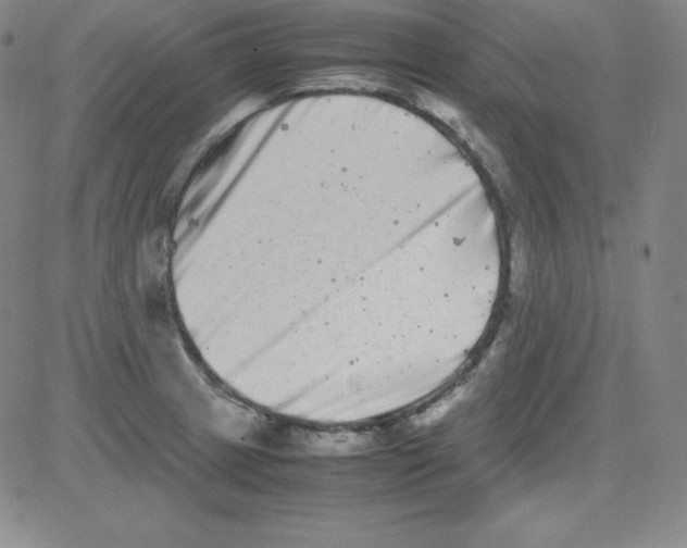 X0000081491233200702021915