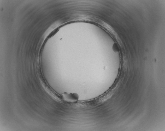 X0000081491234200702021915