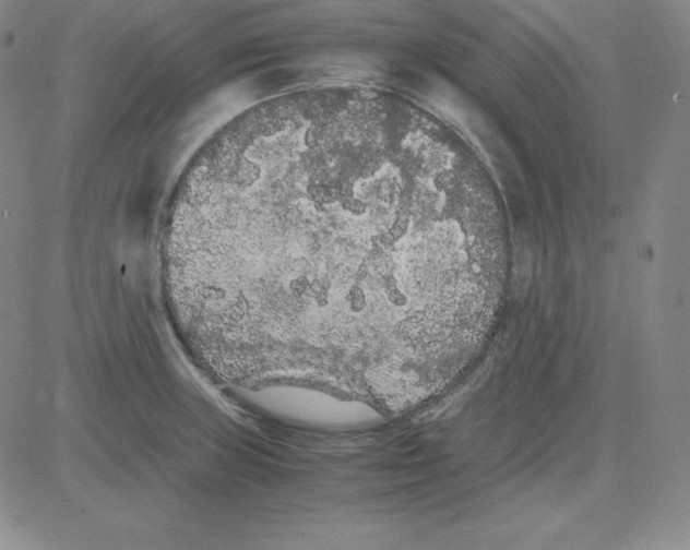 X0000081491235200702021915