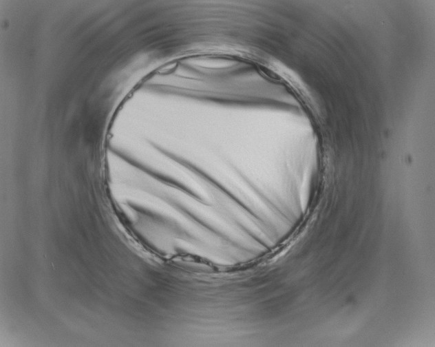 X0000081491236200702021915