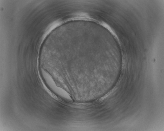 X0000081491237200702021915