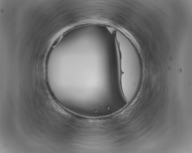 X0000081491238200702021915