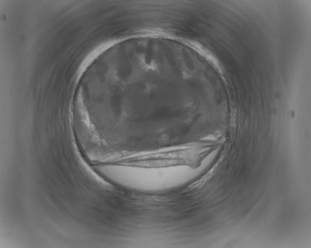 X0000081491239200702021915