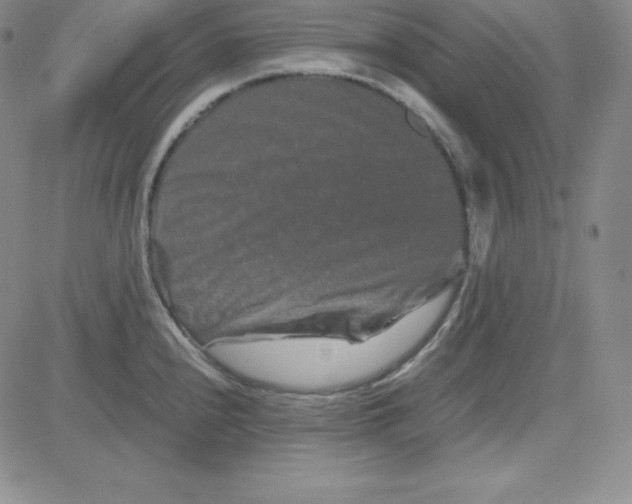 X0000081491240200702021915