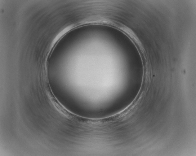 X0000081491242200702021915