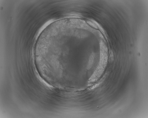 X0000081491243200702021915