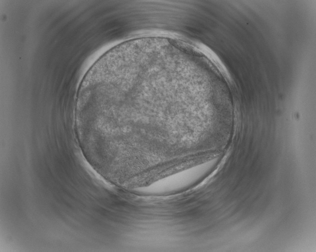 X0000081491244200702021915