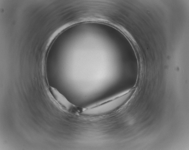 X0000081491246200702021915