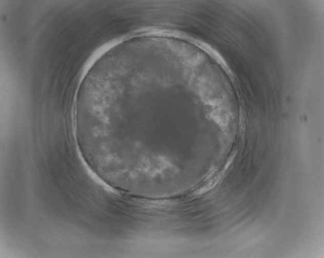 X0000081491247200702021915