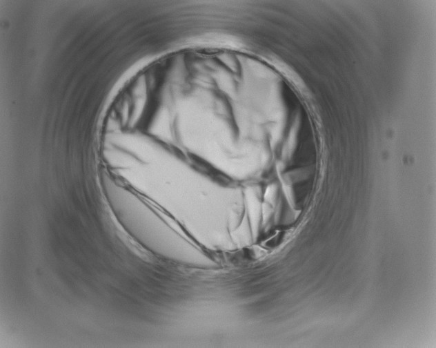 X0000081491248200702021915