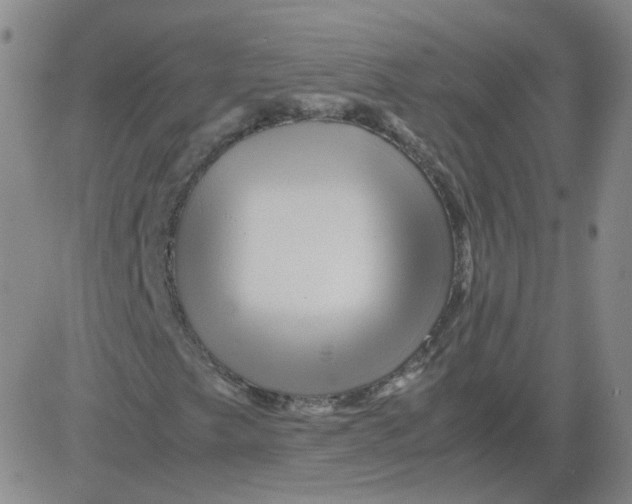 X0000081491249200702021914