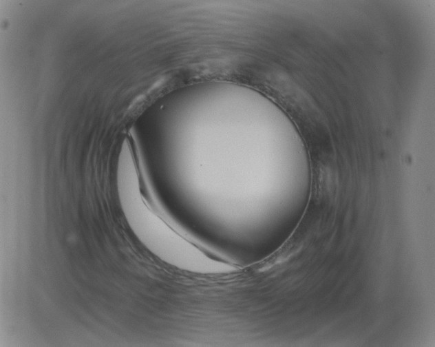 X0000081491250200702021914