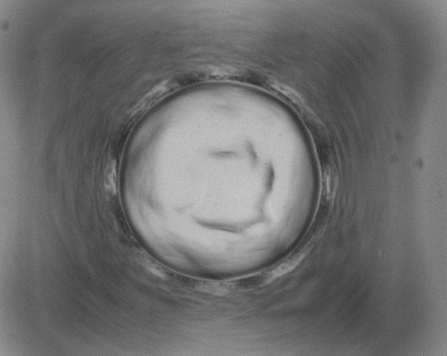 X0000081491251200702021914