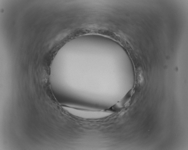 X0000081491253200702021914