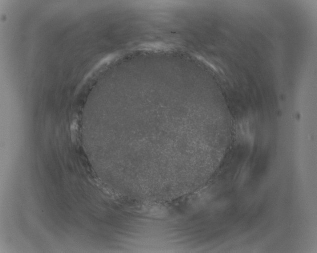 X0000081491254200702021914