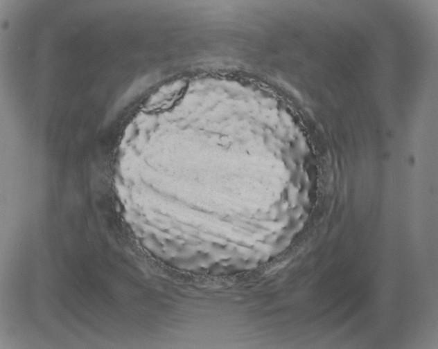 X0000081491255200702021914