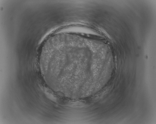 X0000081491256200702021914