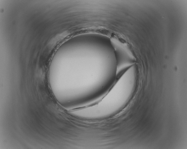 X0000081491257200702021914