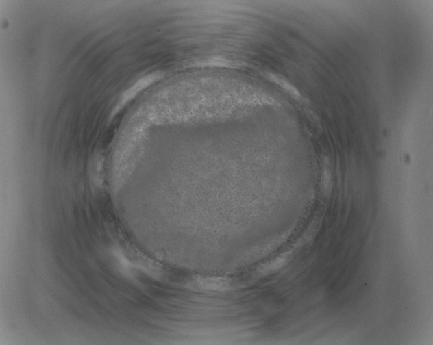 X0000081491258200702021914