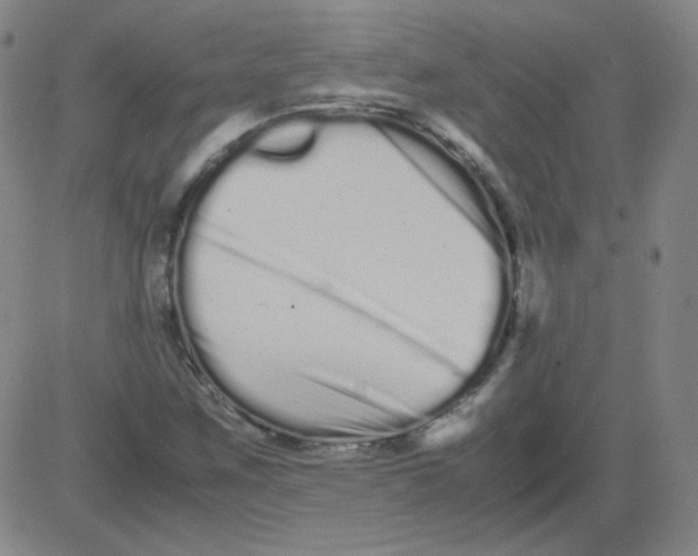 X0000081491259200702021914