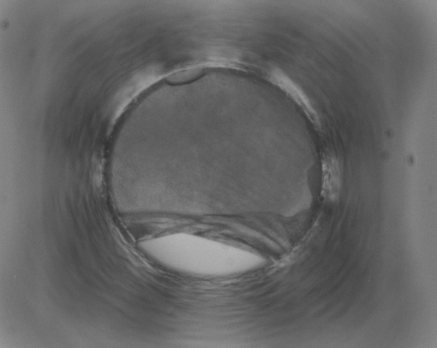 X0000081491260200702021914