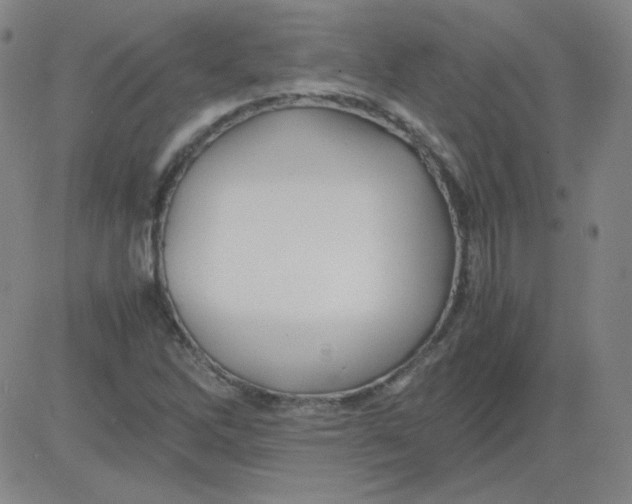 X0000081491262200702021914