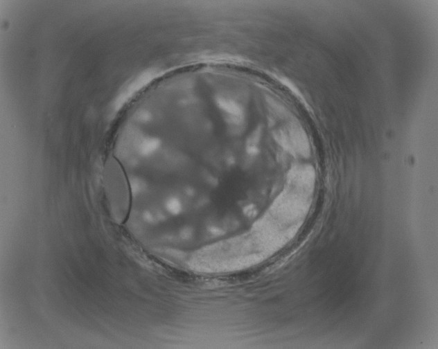 X0000081491263200702021914