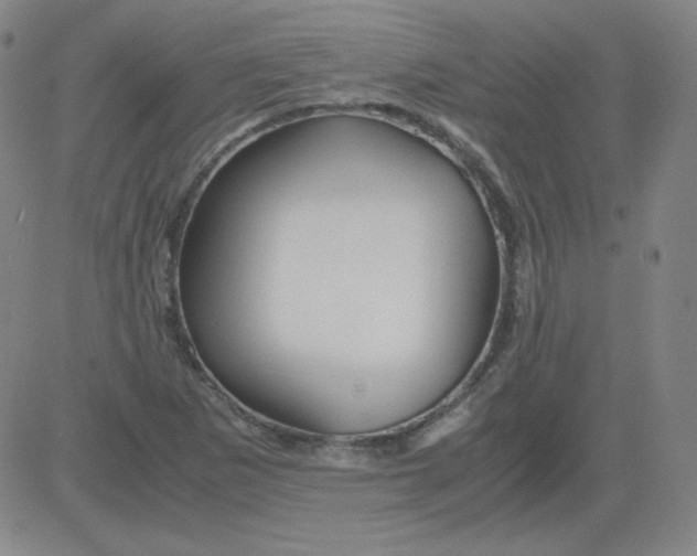 X0000081491265200702021914