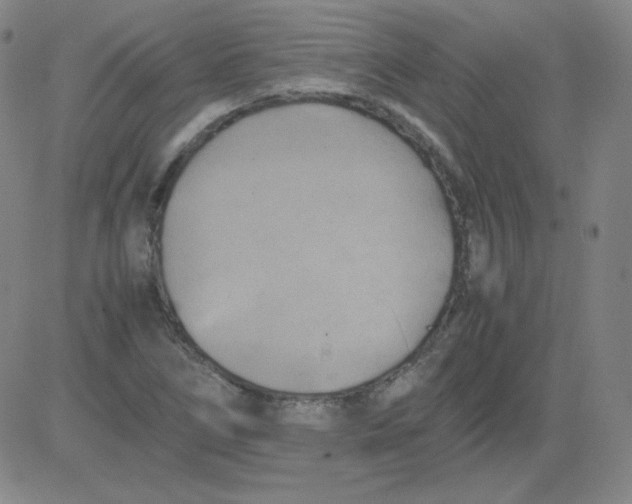 X0000081491266200702021914