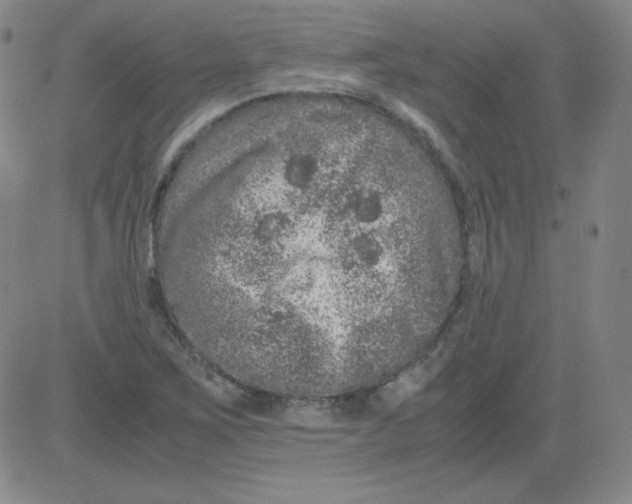 X0000081491267200702021914